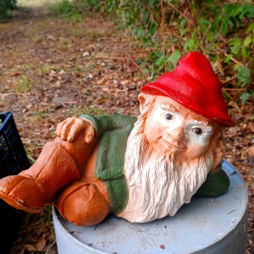 Gnome